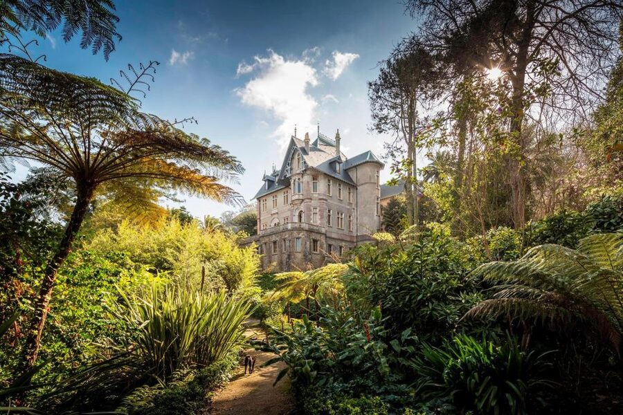Sintra Off the Beaten Path Tour and Unique Gems - Who this tour suits (and who should skip it)