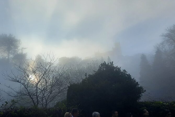Sintra Palaces and Forest Private Tour - Pena Palace and Park: your main 2-hour block