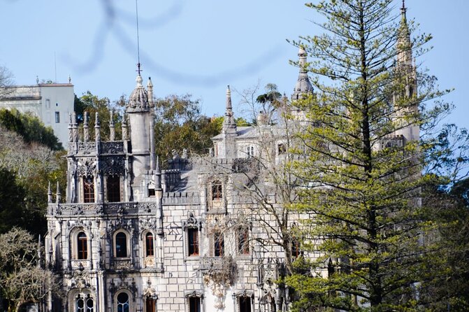 Sintra Palaces and Forest Private Tour - Who this private tour suits best