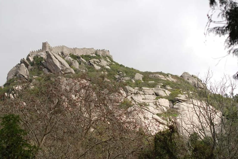 Sintra: Private Half-Day Classic Car or Electric Jeep Tour - Accessibility and Comfort: Pacing That Can Be Adjusted