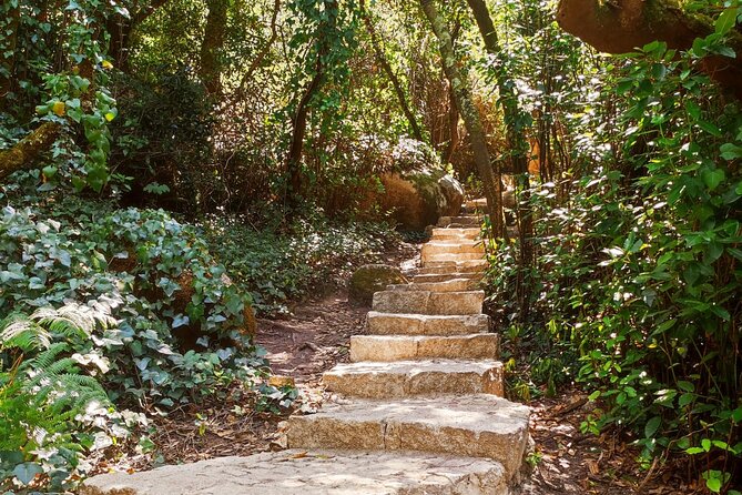 Sintra Private Hiking Adventure Tour - Private hiking in Sintra: what the 3-hour route actually feels like