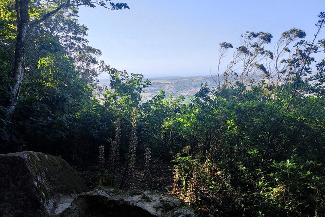 Sintra Private Hiking Adventure Tour - Price and value: why $118.29 can make sense for a private hike