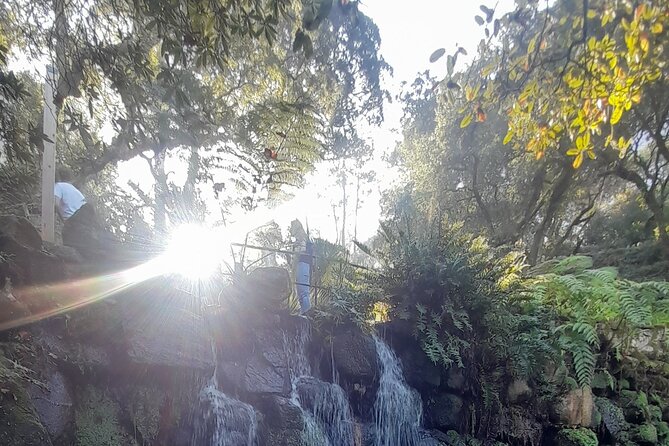 Sintra Private Tour 2 Palaces Roca Cascais Tailored up to 7 - Boca do Inferno and Cascais Views: Quick Ocean Time, Then Wandering