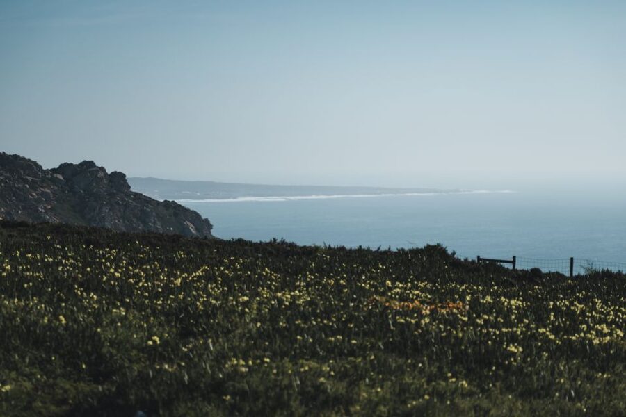 Sintra: Regaleira, Cabo da Roca and Cascais Jeep Safari Tour - Off-road adventure to the coastline, plus Travesseiro and ginja
