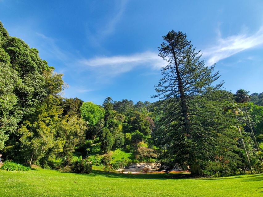 Sintra: Self-Driven Trip with Route-Planning Support - Coastal switch: Praia Grande and Praia das Maças