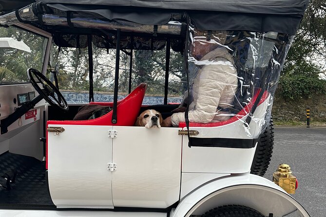 Sintra Tour by Electric Tuk Tuk - Biester Park Viewpoint and Moorish Castle: Two Different Kinds of Views