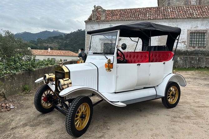 Sintra Tour by Electric Tuk Tuk - Monserrate Palace Viewpoint: Soft Edges Before the Coast