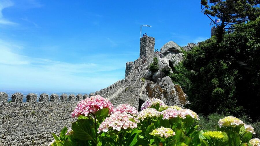 Sintra: Truly Private Tour to Pena Palace & Regaleira - Price and Value: What You’re Actually Buying
