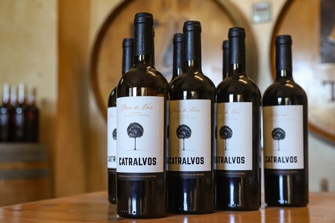 Small Group Full-Day Arrábida Wine Tour and Food Tasting - Key highlights worth knowing