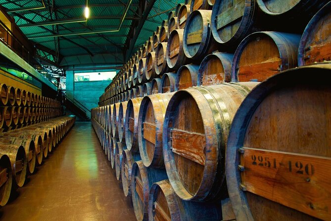 Small Group Full-Day Arrábida Wine Tour and Food Tasting - Azeitão lunch + Azulejos tiles: food and craft, not just wine