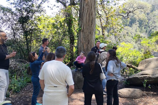 Small Group FULL DAY PRIVATE TOUR Sintra + Cascais+Roca Cape - Sintra National Palace: A Photo Pause That Keeps the Day on Track