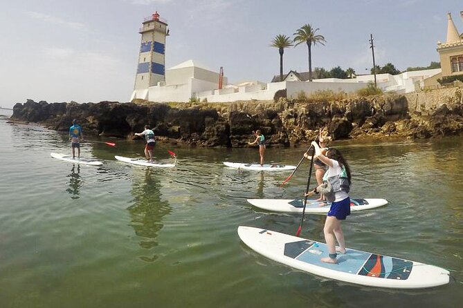 Stand Up Paddle Boarding Lesson of Cascais Bay - Who This SUP Lesson Suits Best (and Who Might Reconsider)
