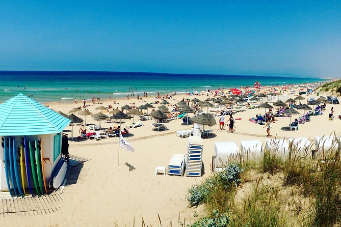 Surf & Friends - Costa da Caparica - Fresh Fish, Local Restaurants, and Lisbon Viewpoints That Add Meaning