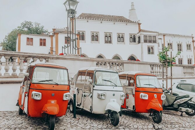 Tour Sintra Palaces & Mountain - Castelo dos Mouros: Ruins, Forest Views, and a Choose-Your-Own Walk