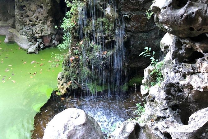 Tours and Transfers - Stop 4: Quinta da Regaleira, Guided Park Visit With Masonic Themes
