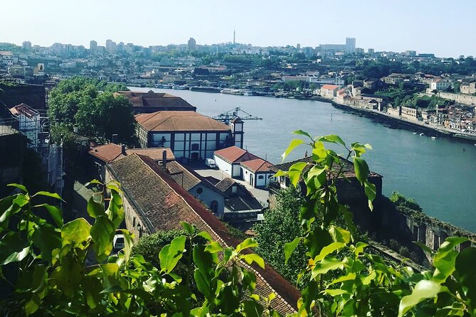 Transport Lisbon/Porto Porto/Lisbon with 2 optional stops - Aveiro Stop: Canals and Coastal Character in a Manageable Time Slot