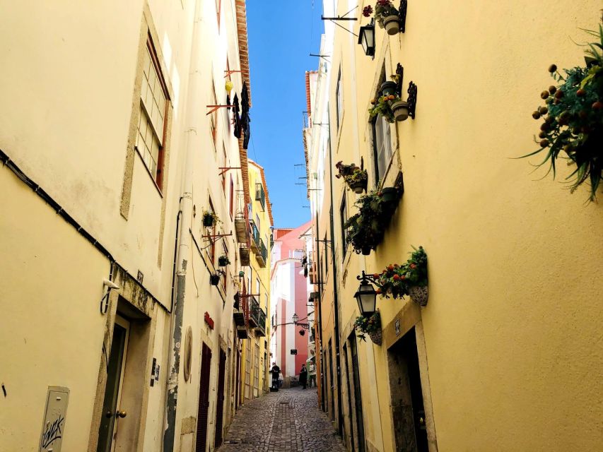 Tuk Tuk Old Lisbon Tour 1,5h - What You Should Bring (and What You Can Skip)