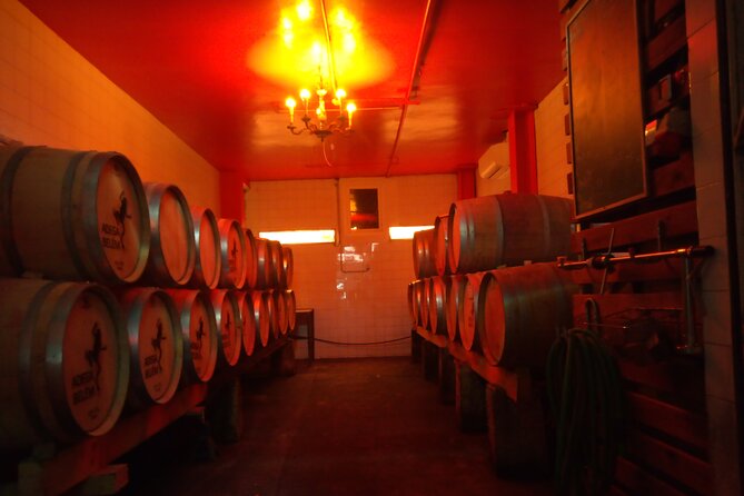 Urban winery tour, premium tasting flight & tapas - Belém’s Adega Belem Urban Winery, modern wine in a classic Lisbon neighborhood