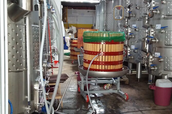 Urban winery tour, premium tasting flight & tapas - Yeast, tannins, port, and sparkling wine, the lesson behind the flavors