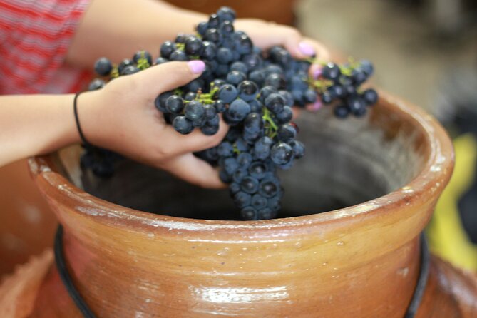 Urban winery tour, premium tasting flight & tapas - Spit buckets, tasting technique basics, and pacing like a pro