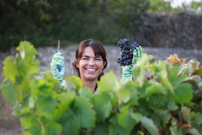 Urban winery tour, premium tasting flight & tapas - Should you book Adega Belem Urban Winery? My decision guide
