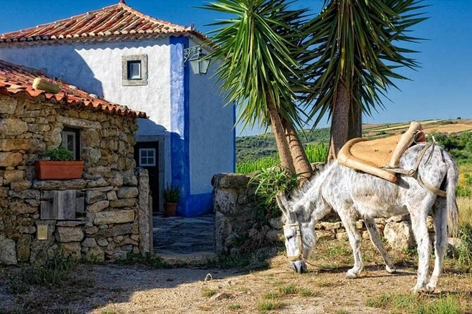 Visit to Queluz Palace and Mafra Convent - Private Tour - Ericeira on a Half-Day Coastal Mood, Plus a Lunch Choice