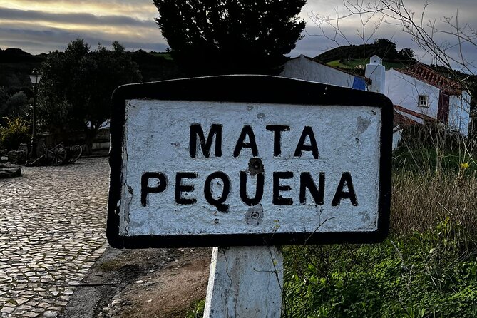 Visit to Queluz Palace and Mafra Convent - Private Tour - What to Wear, and How to Handle Weather Shifts