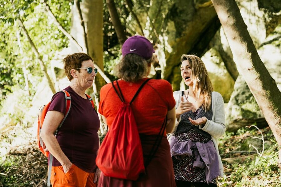 Walking tour:Pena Palace, Moorish Castle,Quinta da Regaleira - Key things to know before you go