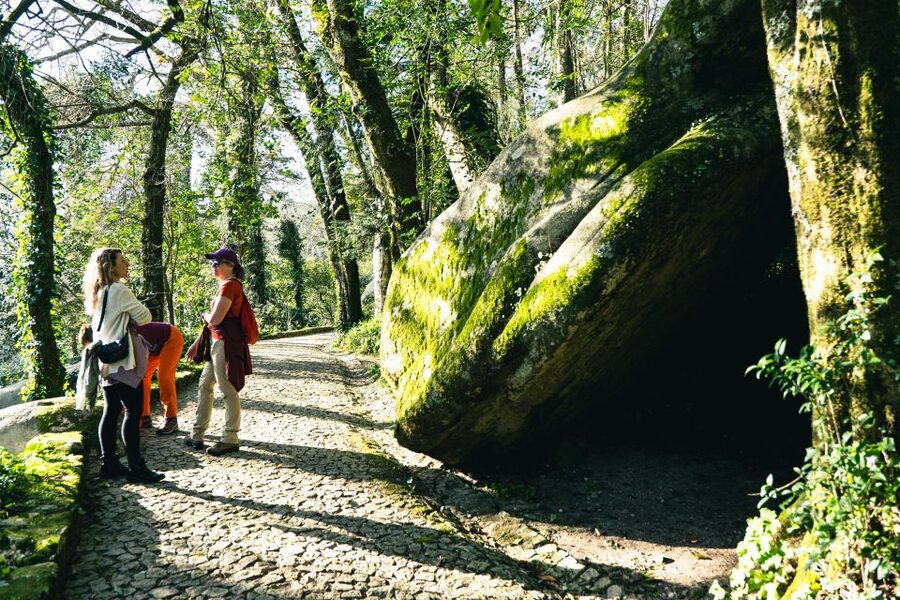 Walking tour:Pena Palace, Moorish Castle,Quinta da Regaleira - Why This Private Sintra Walk Feels Less Like a Race