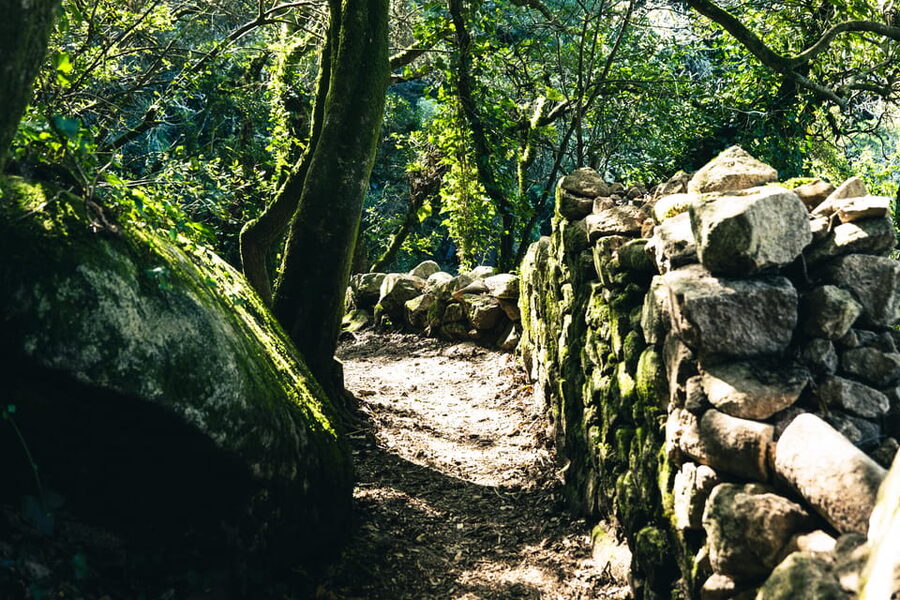 Walking tour:Pena Palace, Moorish Castle,Quinta da Regaleira - The Moorish Castle Hike: Shade, Trees, and a Slow Climb Up