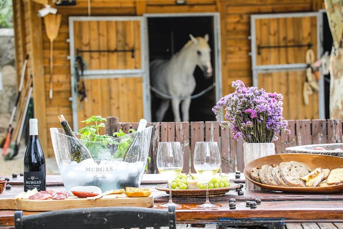 Wine tasting at Quinta das Murgas - Quinta das Murgas wine tasting in Bucelas, a classic Lisbon-area escape