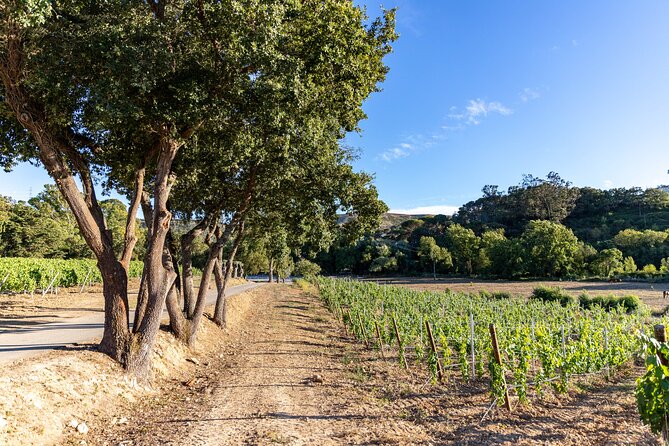 Wine tasting at Quinta das Murgas - Touriga Franca (red) plus tapas: a pairing that keeps it from feeling formal
