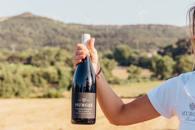 Wine tasting at Quinta das Murgas - Price and value: is $66.23 worth it?