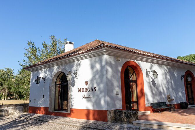 Wine tasting at Quinta das Murgas - Your two-hour flow: walk the estate, then taste in a smart order
