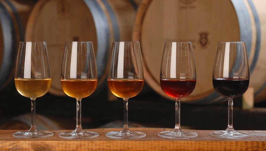 Wine Tasting - Private Half-Day Tour - After the Tasting: Portuguese Tiles or Arrábida Mountain Views