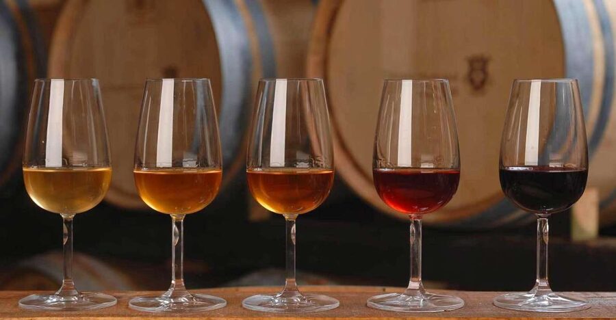Wine Tasting - Private Half-Day Tour - Small-Group Feel, Private Vehicle, and Guide Language Reality