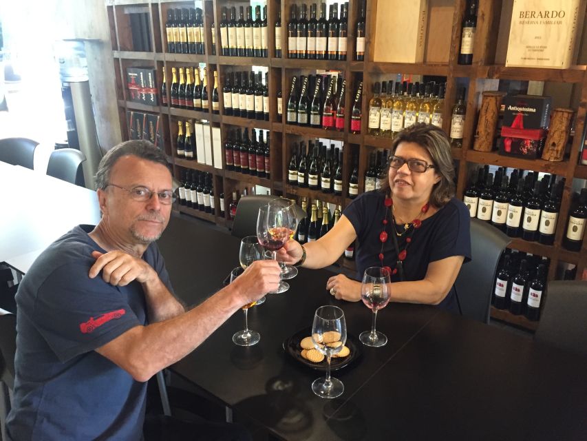 Wine Tasting - Private Half-Day Tour - Timing That Works for a Half-Day Plan