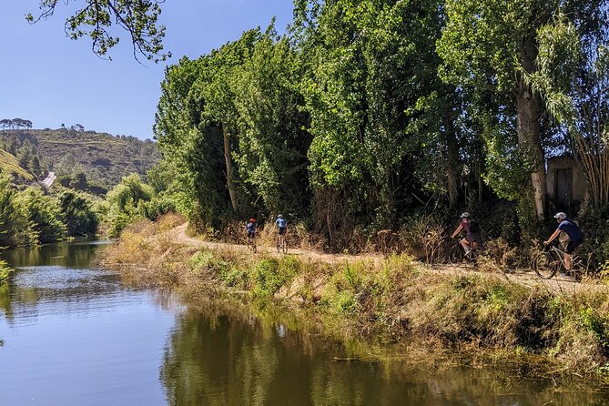 Wine Tasting Tour - The bike setup: rental included, support built in